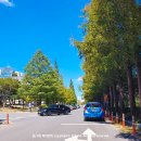 (주)애니언파크 이미지