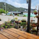 편백나무숲민박 이미지