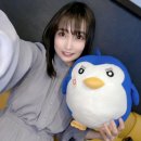 아오이(aoi)