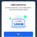 더핀 이미지