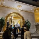 금호텔 | 돌체 바이 윈덤 하노이 골든 레이크 하노이 루프탑 수영장 후기 (Dolce by Wyndham Hanoi Golden Lake)