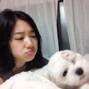 뽀송뽀송 이미지