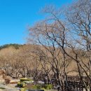 호수공원_매점앞 이미지