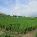 오산면-01 이미지