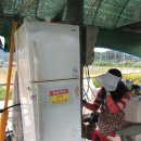 포도밭1길 이미지