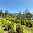 고인목장 이미지