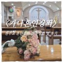 서약국 | 천주교 혼인성사 준비하기ㅣ카나혼인강좌 신청방법 &amp; 수원교구청 대면 교육 후기