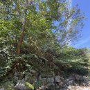 웜홀스테이 이미지