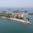 죽도 대전일보