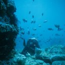 지구와 손잡기 이미지