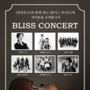 블리스 컨설팅