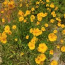 수촌마을회관 이미지