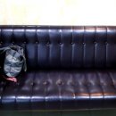 한국정통안마원 이미지