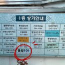 사파동101 이미지