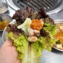 강동숯불 | 암사동 고기집 추천ㅣ때깔부터 미쳤던 숯불 삼겹살 솔직 후기 [서울:강동구]