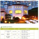 (주)라비돌 Daum카페