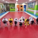 마지태권도장 이미지