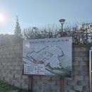 성곡경로당 | 금산세계인삼축제 방문 후기 내돈내산 인삼의 대중화 가능성