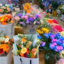 그래도 꽃 | 양재꽃시장 졸업식 꽃다발 화분 가격 프리저브드 플라워 실제 후기