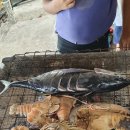 우리비치 이미지