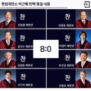 도그보니타 이미지
