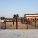 덕수공원반려견놀이터 이미지