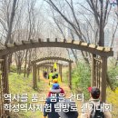 봄볕 어린이공원 | 역사를 품고 봄을 걷다, 학성역사체험 탐방로 걷기대회
