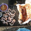 산호세 농장 이미지