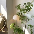 응암역4번출구 이미지