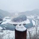 노랑통닭 영월점 | 영월 여행