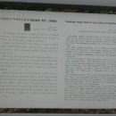 (주)사계절 Daum카페