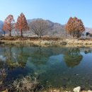 솔치송어파티 이미지