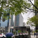 강남통쾌의원 이미지