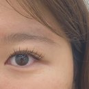 다 솜 | 제주 외도속눈썹 연장 하귀 바이솜뷰티 (LED 연장 후기)