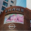 타이라이프