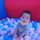 상동농협 하나로마트 네이버블로그