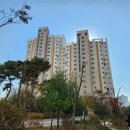 구래동 6877-5 이미지