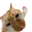 메종드혁이네in표선 | 난 널 버리지 않아, 너도 같은 생각이지? (下)