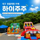 금구농장 | 여름 나들이 고민 끝 🐷 달성군 옥포 동물체험카페 "하이주주"