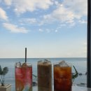 씨앤트리(Sea&Tree) 이미지