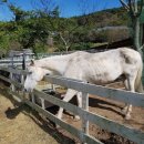 송산목장 이미지