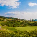 스카이뷰컨트리클럽 이미지