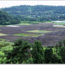 서ㆍ호근동 이미지