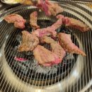 은행나무갈매기 이미지