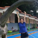 죠이랜드 이미지