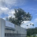 스테이오캄 이미지