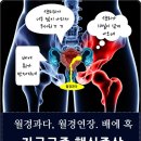 경희배한의원 이미지