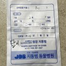 지동범 동물 안과 치과병원 | (부산 지동범 동물병원) 강아지 치과 후기 - 진돗개 스케일링, 치은절제술, 중대형견 치료 비용