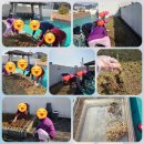 다정한요양병원 이미지