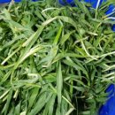 순떡